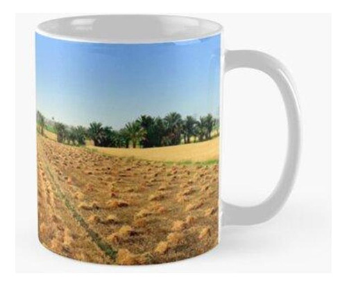 Taza Paisajes Rurales En Egipto Calidad Premium