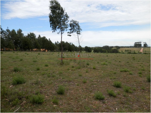 Imagen 8 de 8 de Venta De Chacra En Zona Rural De La Barra