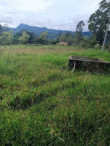 Vendo O Permuto Lote En Pacho Cundinamarca  De 8960 M2 