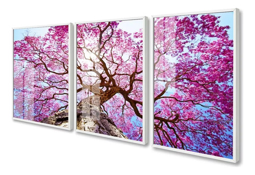 Quadro Decorativo Ipê Rosa Paisagem Árvore Com Vidro 60x80