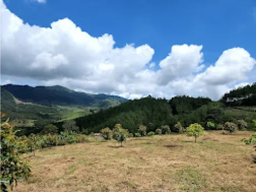 Rhbr-10332 (finca Piso 1, Jerico)