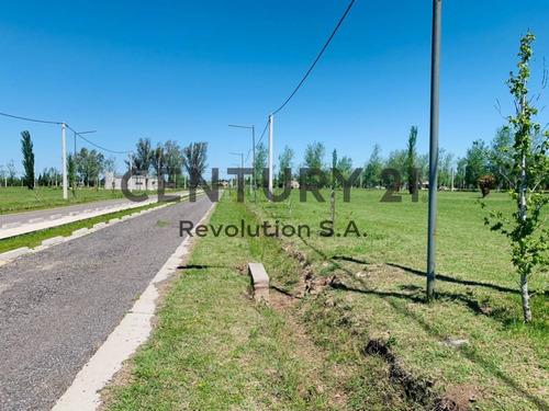 Imagen 1 de 11 de Terreno De 392 M2 En Pinares Del Sur - Piñero