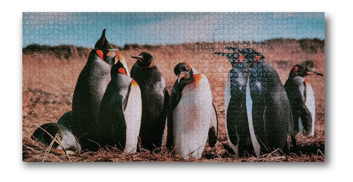 Imagen 2 de 4 de Puzzle 2.000 Piezas Animales: Pingüino Fauna Chilena