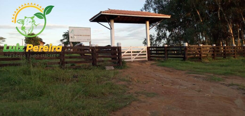 Imagem 1 de 15 de Fazenda À Venda Em Pacajá - Pa - De 625 Alqueirões (dupla Aptidão) - 1830