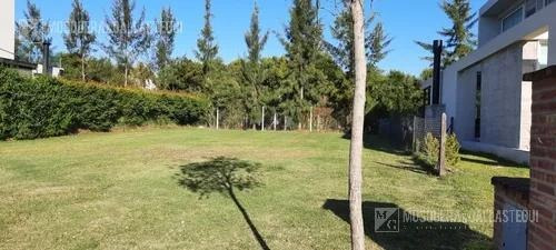 Imagen 2 de 4 de Terreno - Tipas