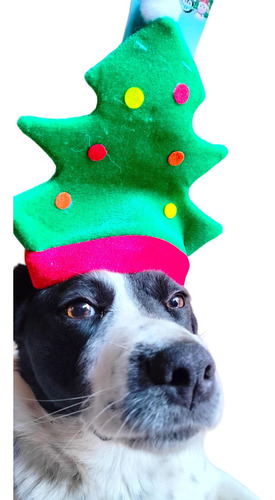 Gorro Árbol Arbolito Navidad Navideño Mascota Perro Gato 