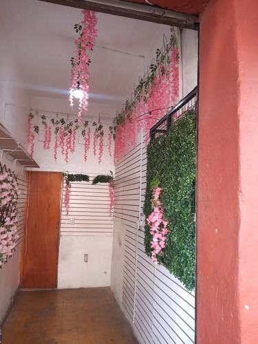 Local Comercial En Renta Colonia Martin Carrera