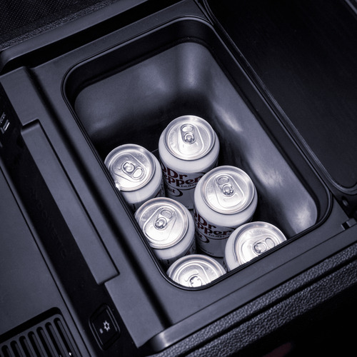Heladera Dometic Consola Central Ford Lobo F-150 2015 A 2020