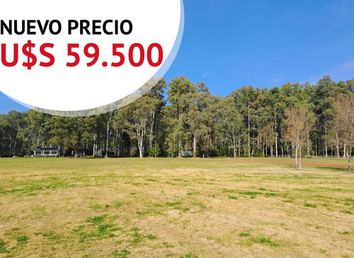 Oportunidad Lote Terreno A La Laguna De 3180 M2 Muy Lindas Vistas Al Golf  En Venta - Carmelo Golf