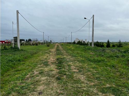 Vendo Lote De 1 Hectárea En San Justo, Entre Ríos.