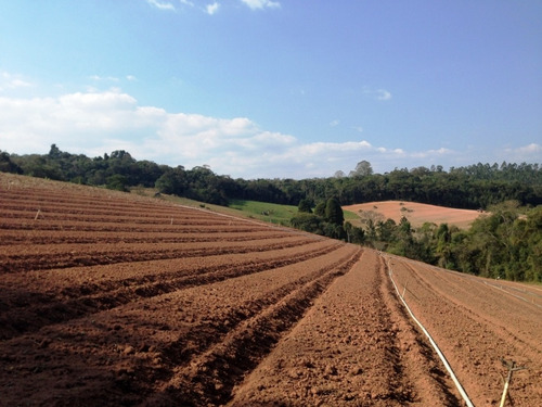 Imagem 15 de 23 de Terreno De 60.000 Mts² Apenas 100 Mts Da Bunjiro Nakao Cod: 0488