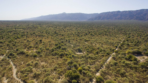 Imagen 12 de 18 de Venta De Campos En Córdoba Chancaní Campo Ganadero