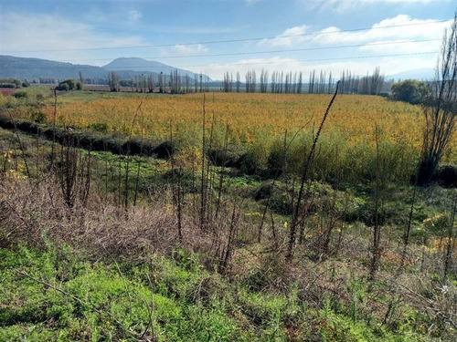 Imagen 2 de 9 de Agrícola En Venta En San Javier