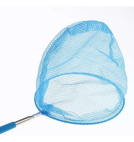 / 2 Rede Líquida Do Inseto Da Borboleta Azul Como Descrito