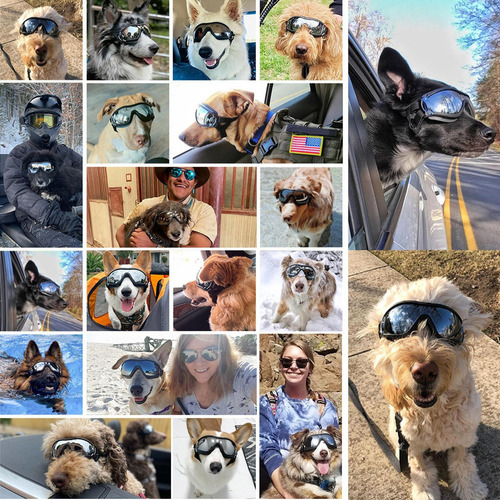 Protección Ocular For Perros Gafas Impermeables A Prueba De