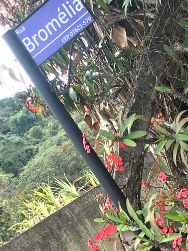 Imagem 7 de 7 de Terreno Na Serra Da Cantareira 300 M2 Aceito Carro Até 40%