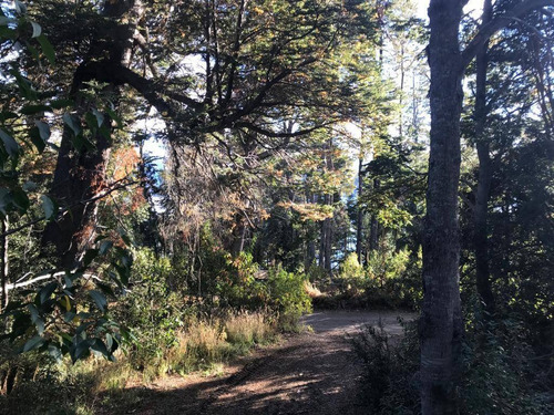 Imagen 4 de 27 de Lote De 2.270m2 En Bº Calfuco A Metros Del Lago Nahuel Huapi, Villa La Angostura