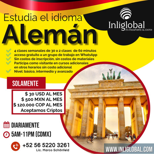 Curso De Inglés/alemán/francés Online En Tiempo Real