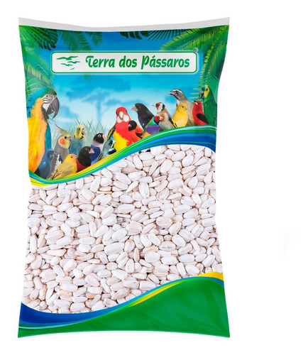 Sementes De Girassol Branco - 2,5 Kg