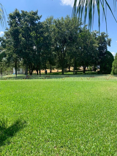Sendero Allende/montemorelos