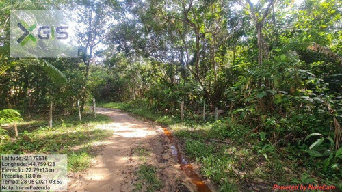 Imagem 2 de 14 de Fazenda À Venda, 2.019,2237 Ha Por R$ 1.600.000 - Br-308 - Mirinzal/ma - Fa0014