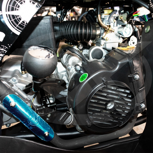 Imagen 5 de 9 de Atv Humer 250 Tao Motor
