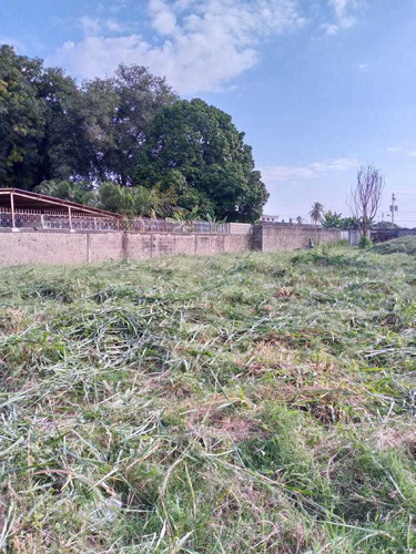 Imagen 2 de 6 de Terreno En Venta. Alto Barinas