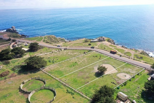 Mirador De Punta De Lobos