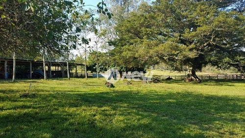 Imagem 1 de 25 de Chácara Com 3 Dormitórios À Venda, 870000 M² Por R$ 7.000.000 - Bairro Imigrantes - Capela De Santana/rs - Ch0085