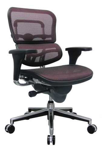 Eurotech Ergohuman - Silla De Oficina Ejecutiva Giratoria Co