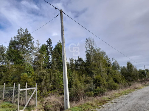 Parcela En Venta - Lomas De Monte Verde