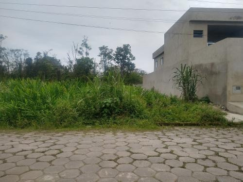 Imagem 3 de 12 de Lote No Balneário Tropical, Em Itanhaém/sp 8818