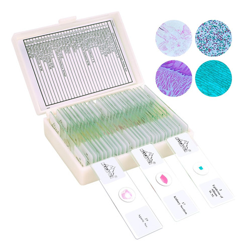 Juego De 30 Portaobjetos De Microscopio Con Muestras Para Ni