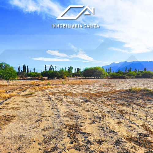 Finca Terreno Loro Huasi - Santa Maria - Catamarca