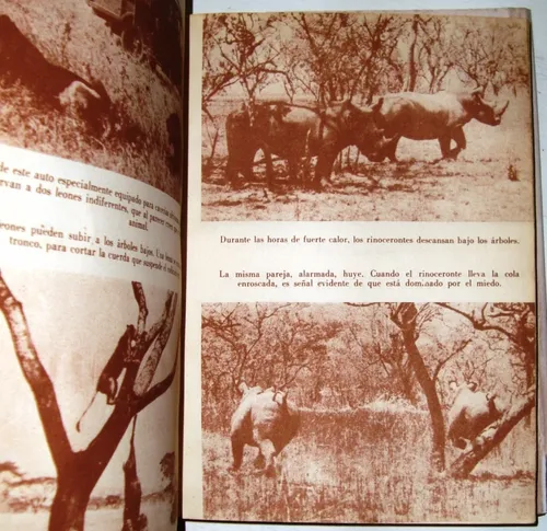 Cazador Blanco Africa Virgen J.hunter Caza Mayor Leopardo Et (Usado)