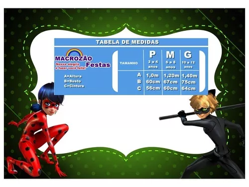 Fantasia Cat Noir Infantil Pop Original Miraculous