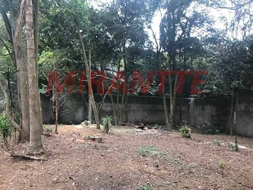 Imagem 11 de 11 de Casa Terrea Em Vila Amalia - São Paulo, Sp - 303912