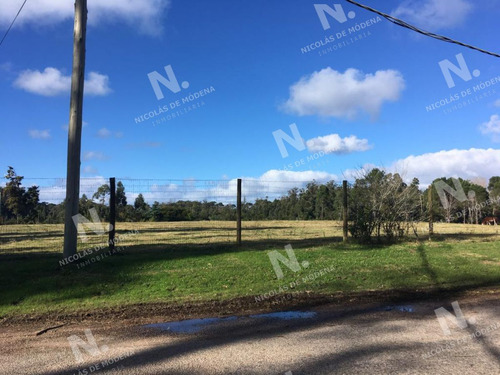 Imagen 2 de 5 de Terreno En Excelente Zona - Vendido - Punta Del Este Rincón Del Indio