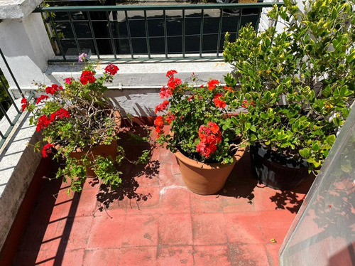 Imagen 18 de 25 de Challet En 2 Plantas , 3 Dorm , Hermoso Jardin, Cerca De Av Del Libertador
