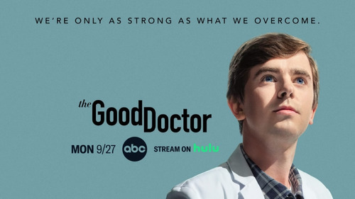 The Good Doctor Las 5 Temporadas Juntas  En Dvd   Coleccion