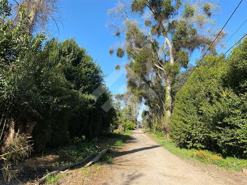 Parcela 5000 C/ Casa Vendo 4d 3b En Talagante