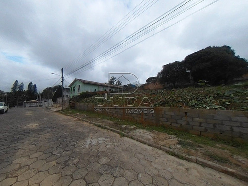 Imagem 4 de 7 de Terreno - Prospera - Ref: 34395 - V-34392