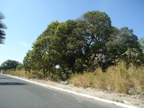 Imagem 1 de 4 de Terreno Para Alugar Na Cidade De Fortaleza-ce - L6545