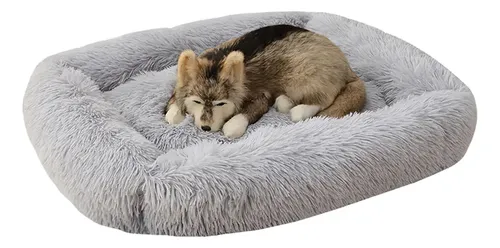 Cama Para Perros Ortopédica Joyelf Catre Pequeños Y Medianos Lava...
