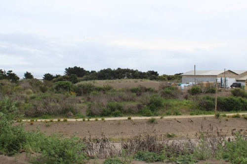 Imagen 2 de 4 de Cahuil / Comercial Entrada Cahuil 6.000 Mts