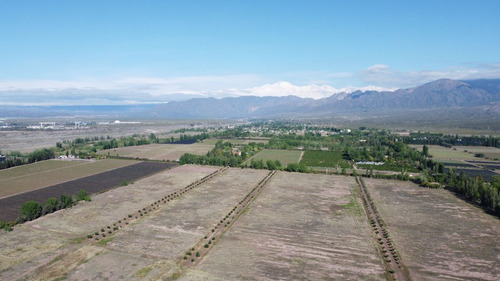 Venta Lotes Barrio Verona Vistalba Lujan De Cuyo