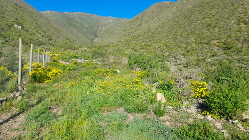 Parcela De 5006 Mt2 En Arrayán Costero, La Serena
