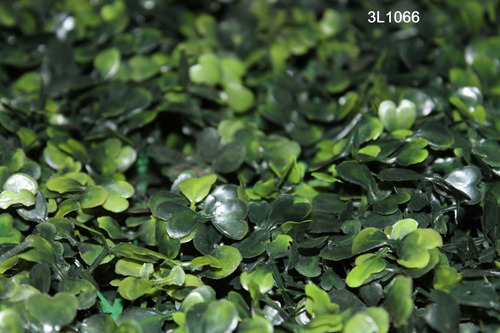 Imagen 2 de 6 de Enredadera Planta Artificial Similar Trebol Plancha 40x60cm