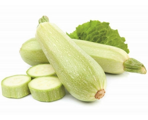 50 Semillas De Calabacin