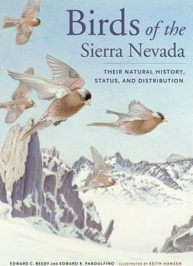 Libro Birds Of The Sierra Nevada - Edward C. Beedy